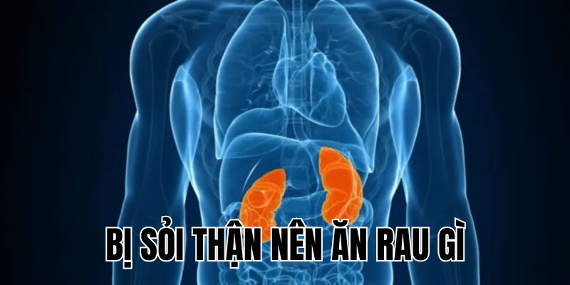 bị sỏi thận nên ăn rau gì