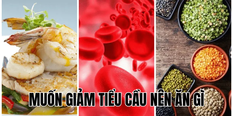 muốn giảm tiểu cầu nên ăn gì