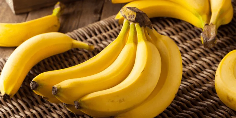 Thực phẩm vàng cho hệ tiêu hóa của người lớn bị táo bón