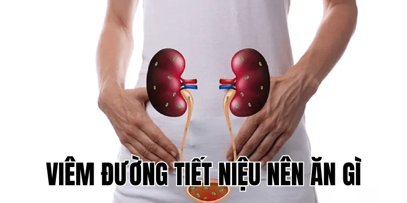 viêm đường tiết niệu nên ăn gì